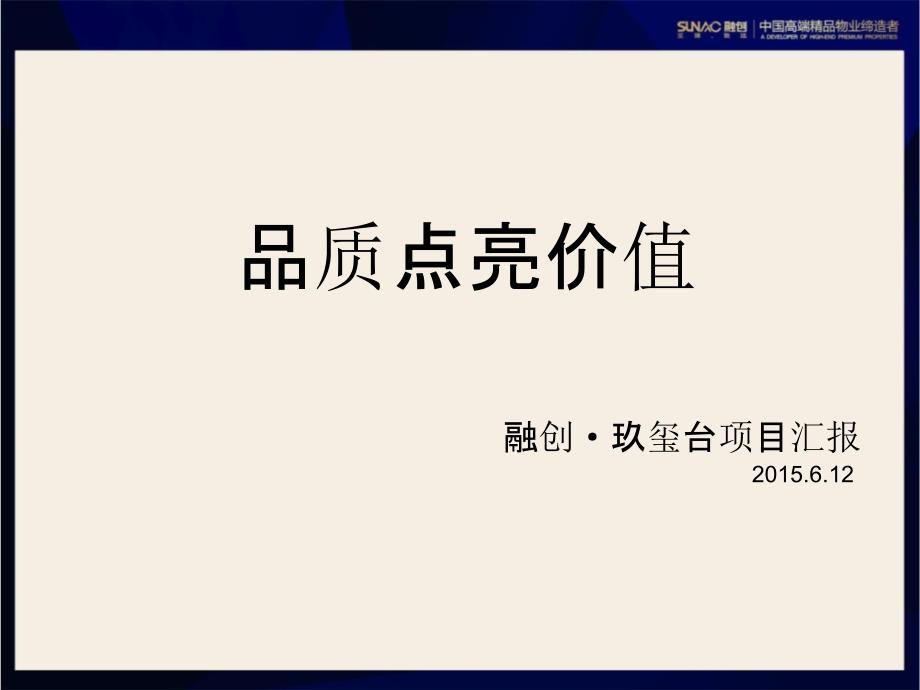 地产大平层项目营销策略汇报_第1页