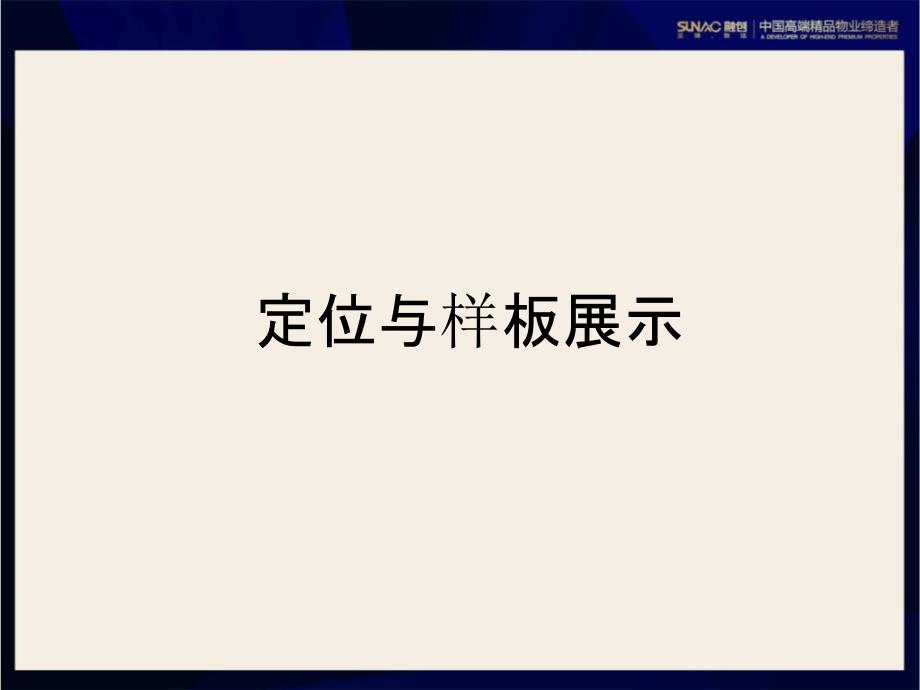 地产大平层项目营销策略汇报_第3页