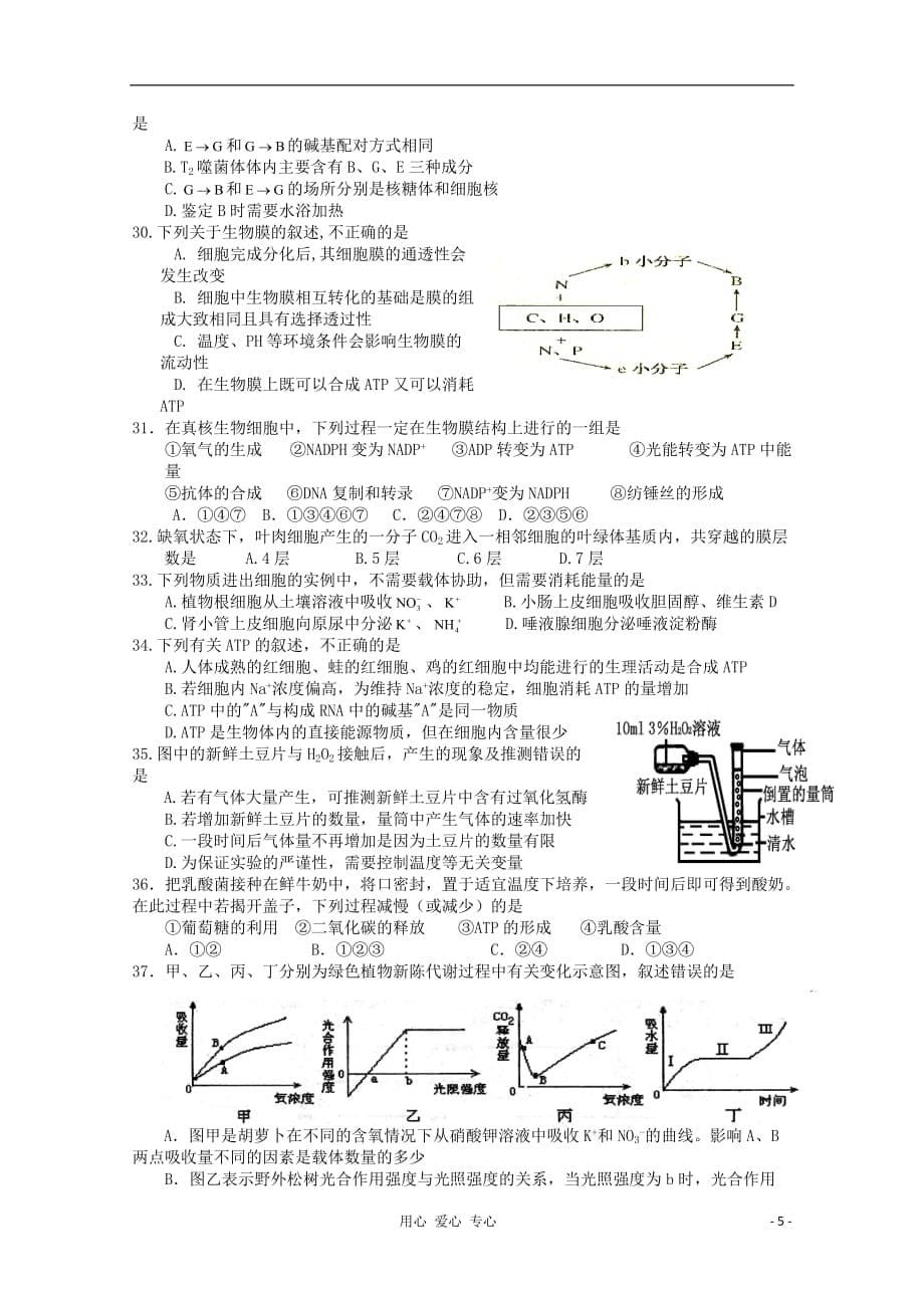 2013届高三生物10月月考试卷新人教版.doc_第5页