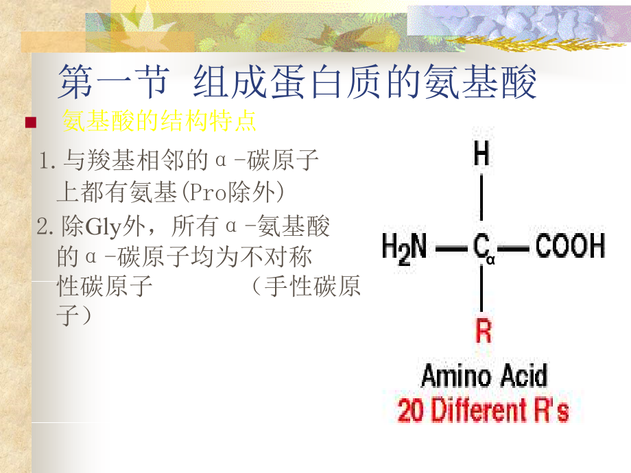 蛋白质的结构和功能修改教学教材_第4页