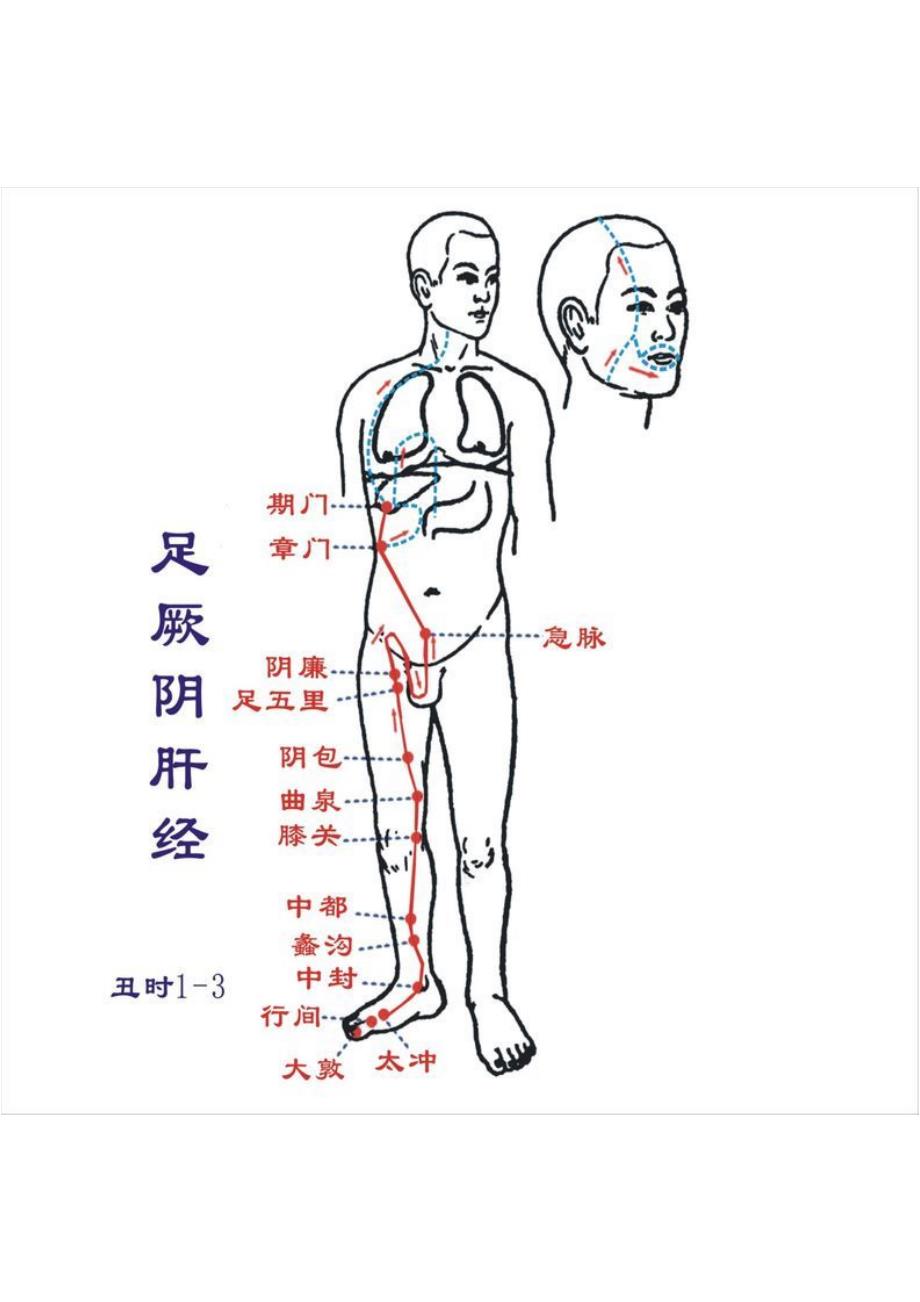 人体12经络图_第2页