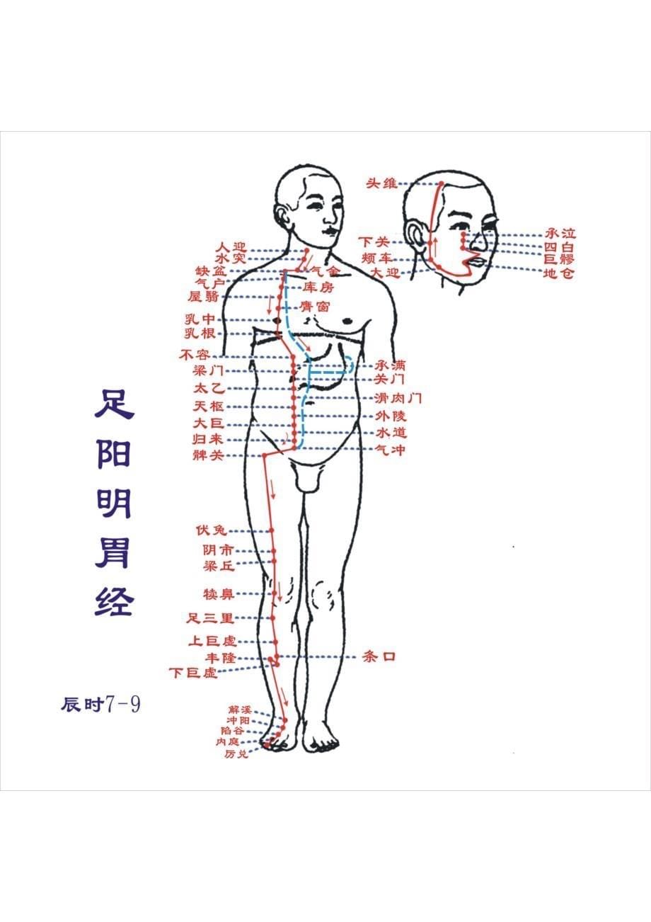 人体12经络图_第5页