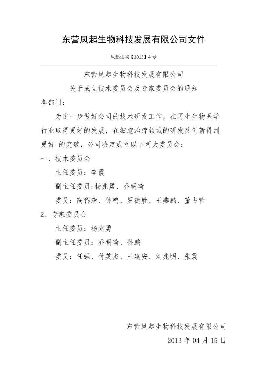 公司任命文件.doc_第2页