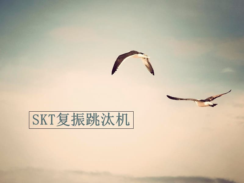 SKT复振跳汰机教程文件_第1页