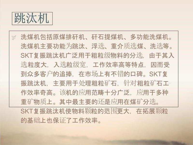 SKT复振跳汰机教程文件_第5页