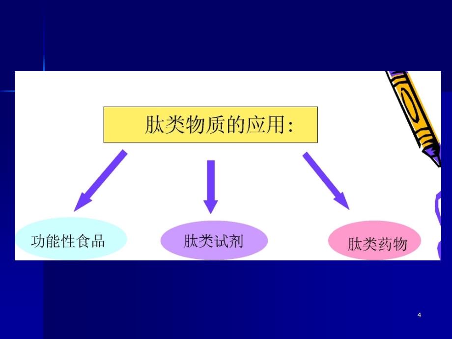 2功能性食品理论基础—功能新食品学(范方宇).ppt_第4页