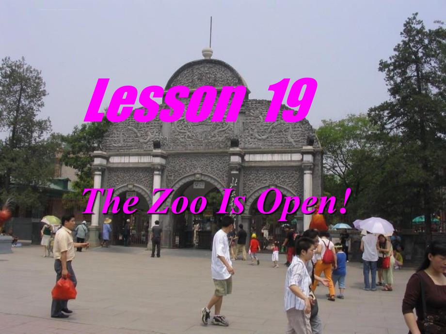 八年级英语冀教版Unit3 Amazing Animals--Lesson 19 [ty](ppt)_第1页