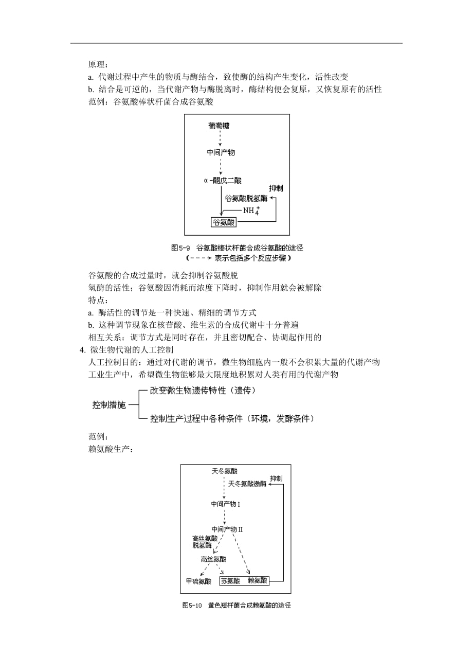 高三生物第二节 微生物的营养、代谢和生长人教版知识精讲.doc_第4页