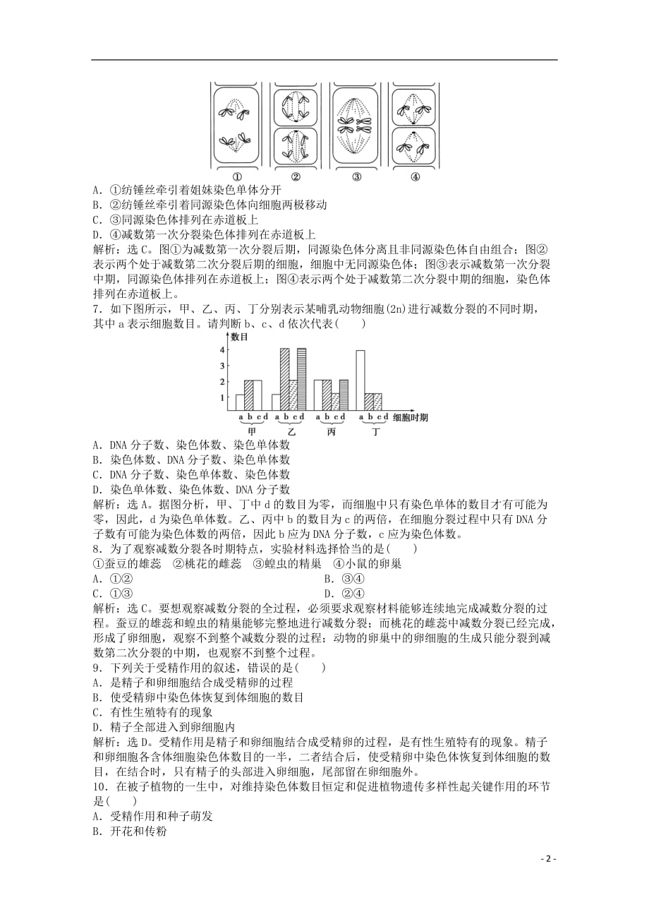 高中生物知识点专练（40）新人教版必修2.doc_第2页