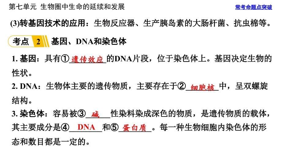 中考生物总复习课件-(5)_第5页