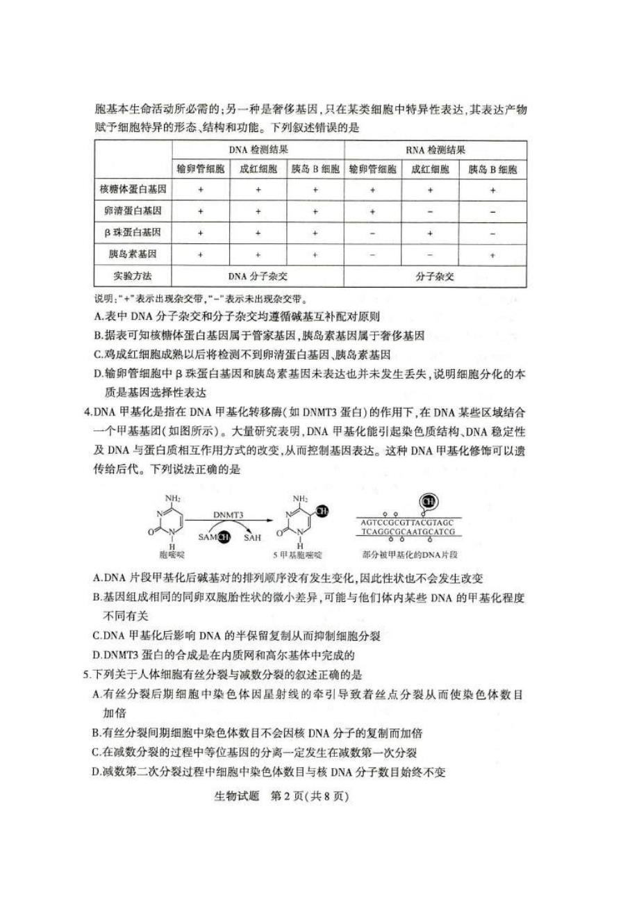 山东省济南市2020届高三针对性训练（三模）生物试题（含答案）_第2页