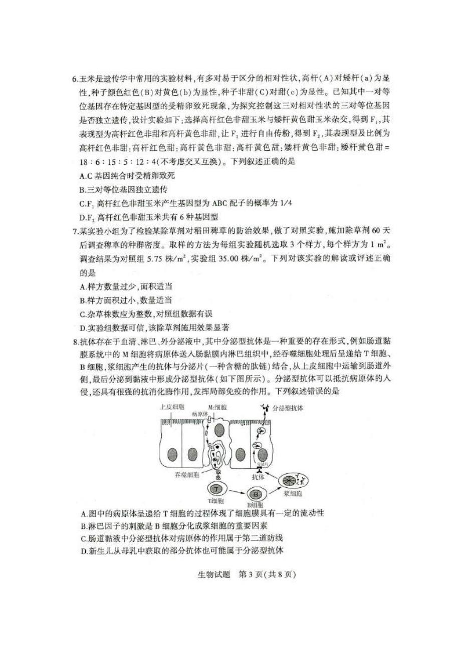 山东省济南市2020届高三针对性训练（三模）生物试题（含答案）_第3页