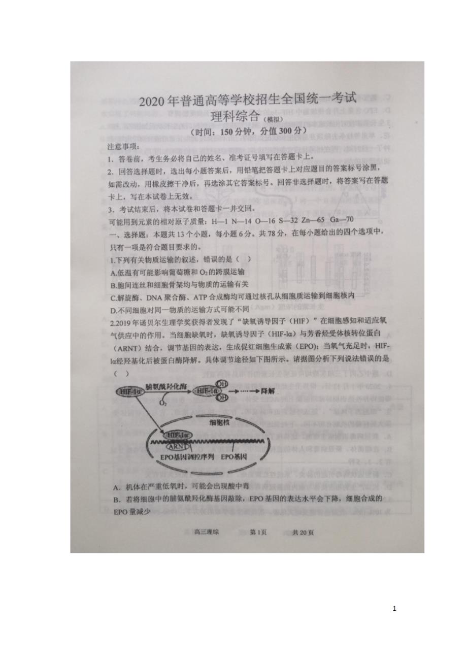 河北省2020届高三6月高考全仿真测试理科综合试题（图片版含有答案）_第1页