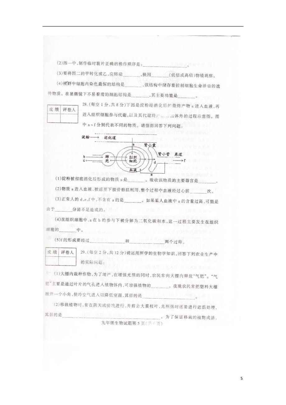 山东省临沂第三十二中学2013届九年级生物上学期期末考试试题（无答案扫描版）.doc_第5页