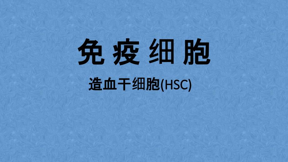 免疫细胞：造血干细胞(HSC) PPT课件_第1页