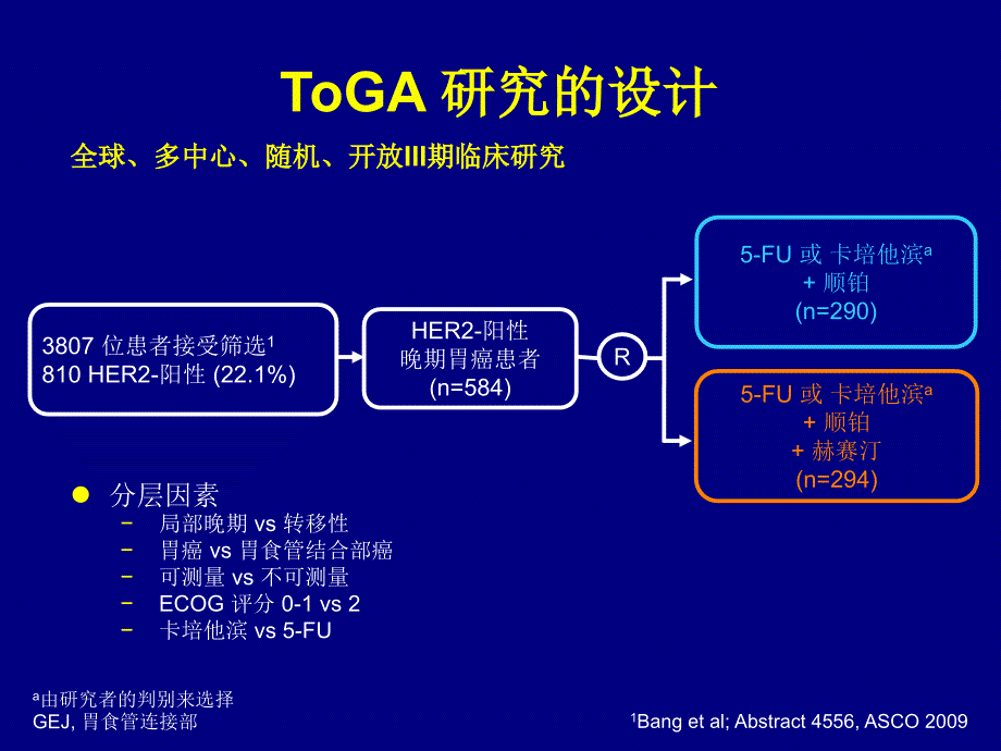 ToGA 研究报告.ppt_第4页