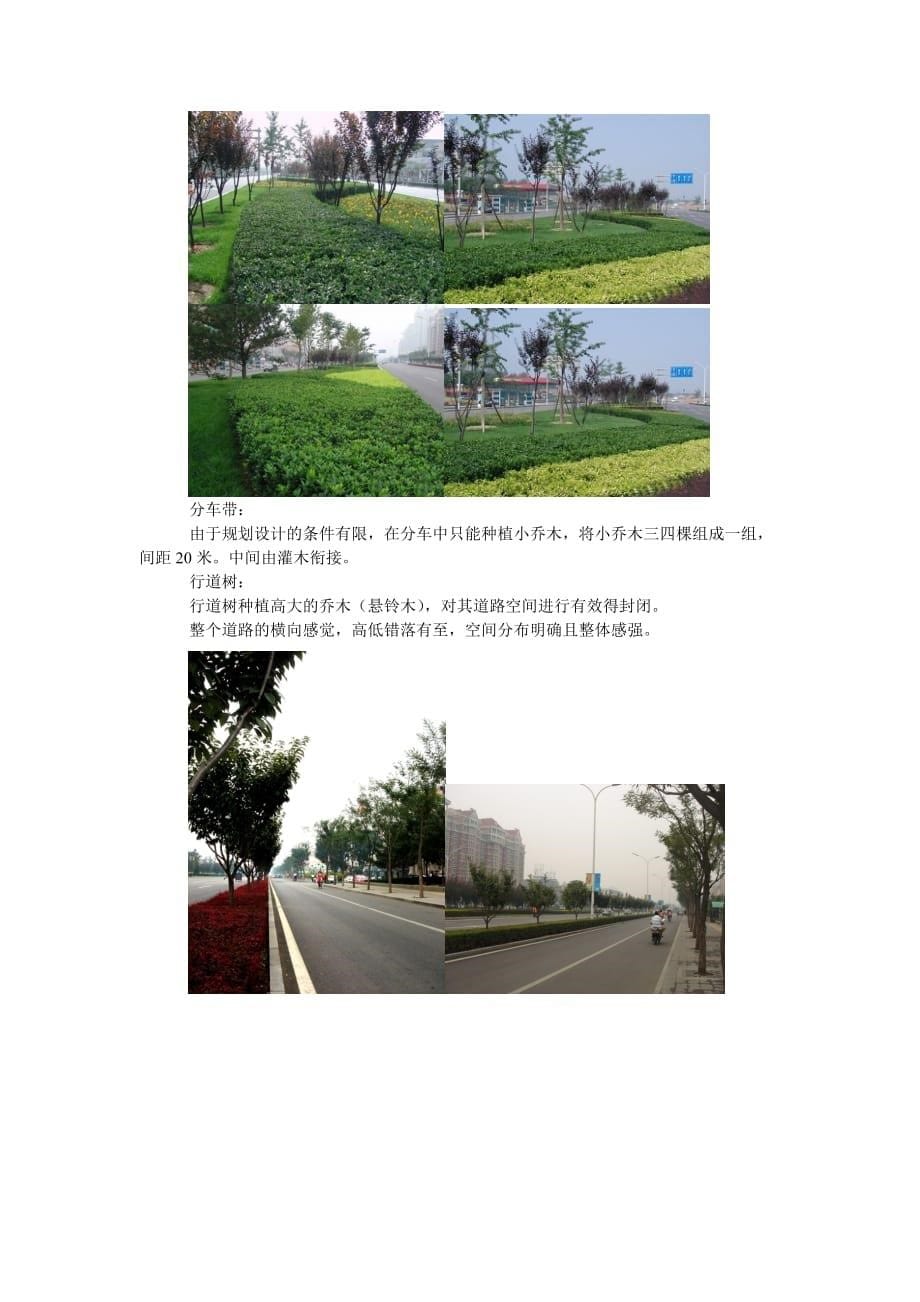 景观道路设计说明.doc_第5页