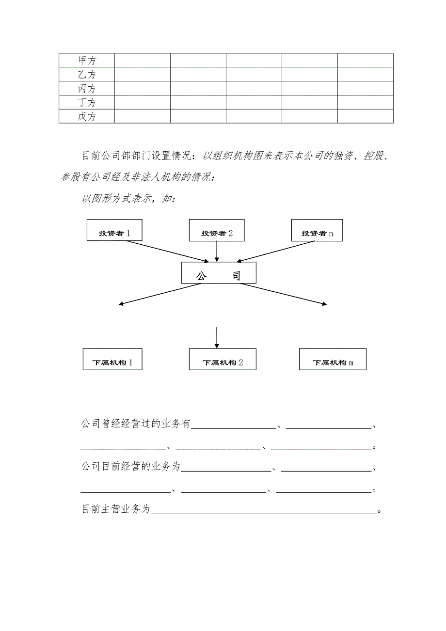 公司商业实施计划书样板_第4页