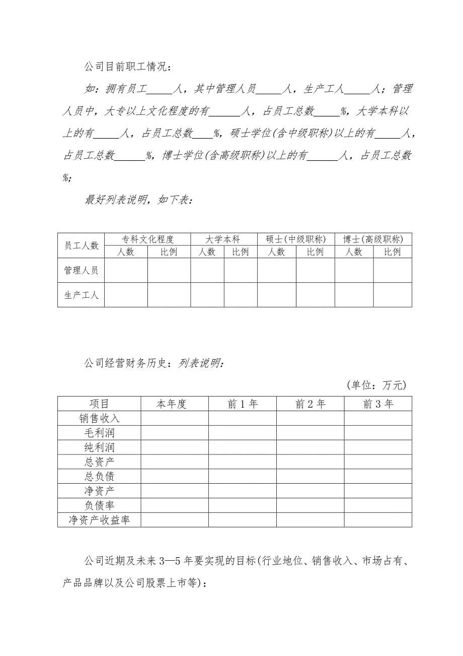 公司商业实施计划书样板_第5页