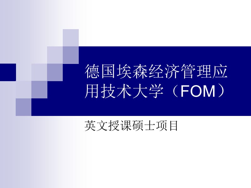 德国埃森经济管理应用技术大学FOMP资料讲解_第1页