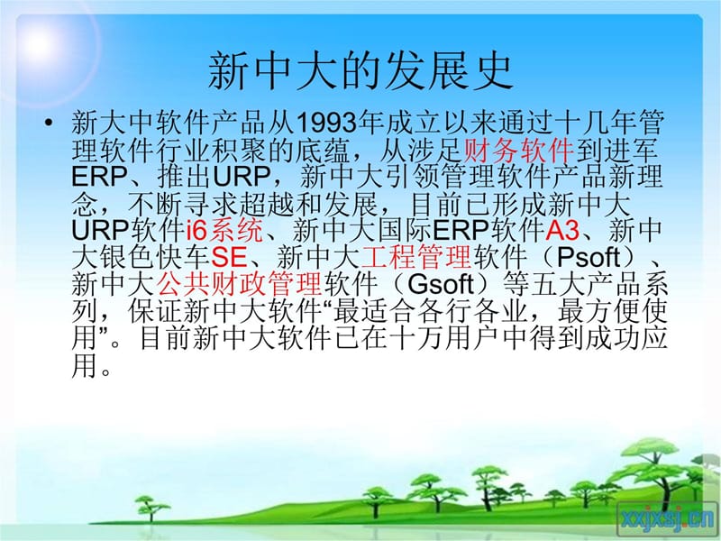 新大中软件调查报告知识分享_第4页