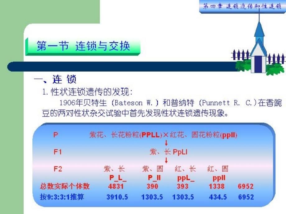 {连锁经营管理}连锁遗传与性连锁讲义_第3页