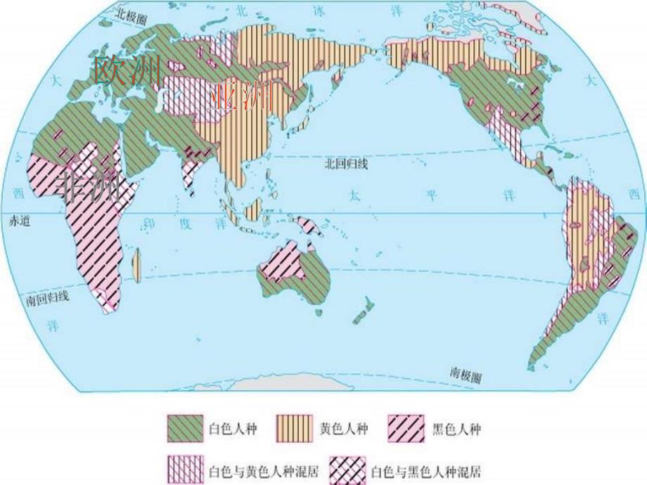 粤教版地理七上《世界的人种、语言和宗教》ppt课件1_第4页