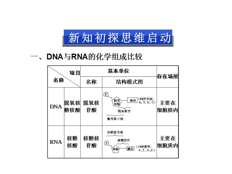 浙科版必修2第三章第二节《DNA的分子结构和特点》ppt课件_第3页