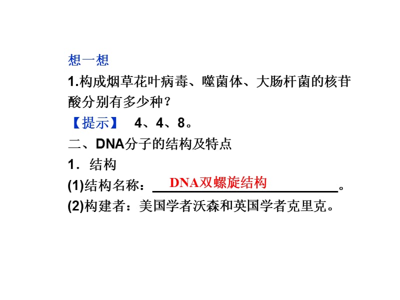 浙科版必修2第三章第二节《DNA的分子结构和特点》ppt课件_第4页