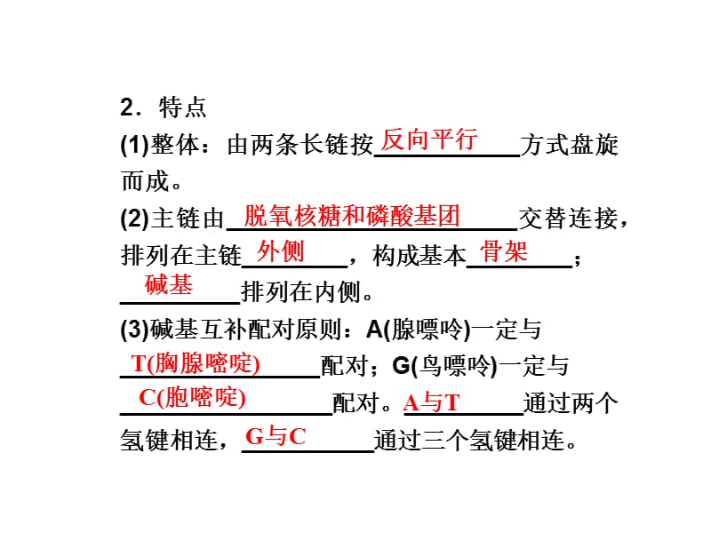 浙科版必修2第三章第二节《DNA的分子结构和特点》ppt课件_第5页