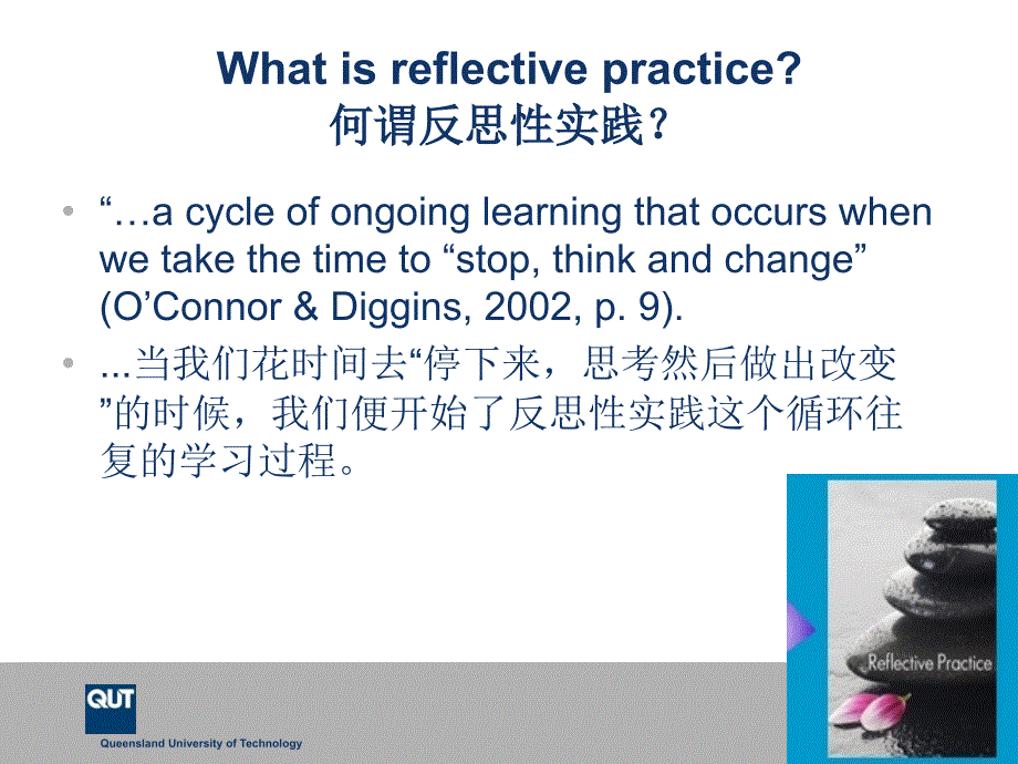 反思性实践2-ECEReflectivePracticepresentation-全课件_第3页