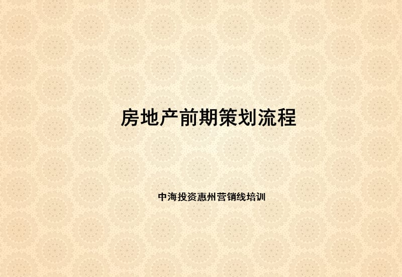 {房地产策划方案}房地产前期策划流程文件二)_第1页