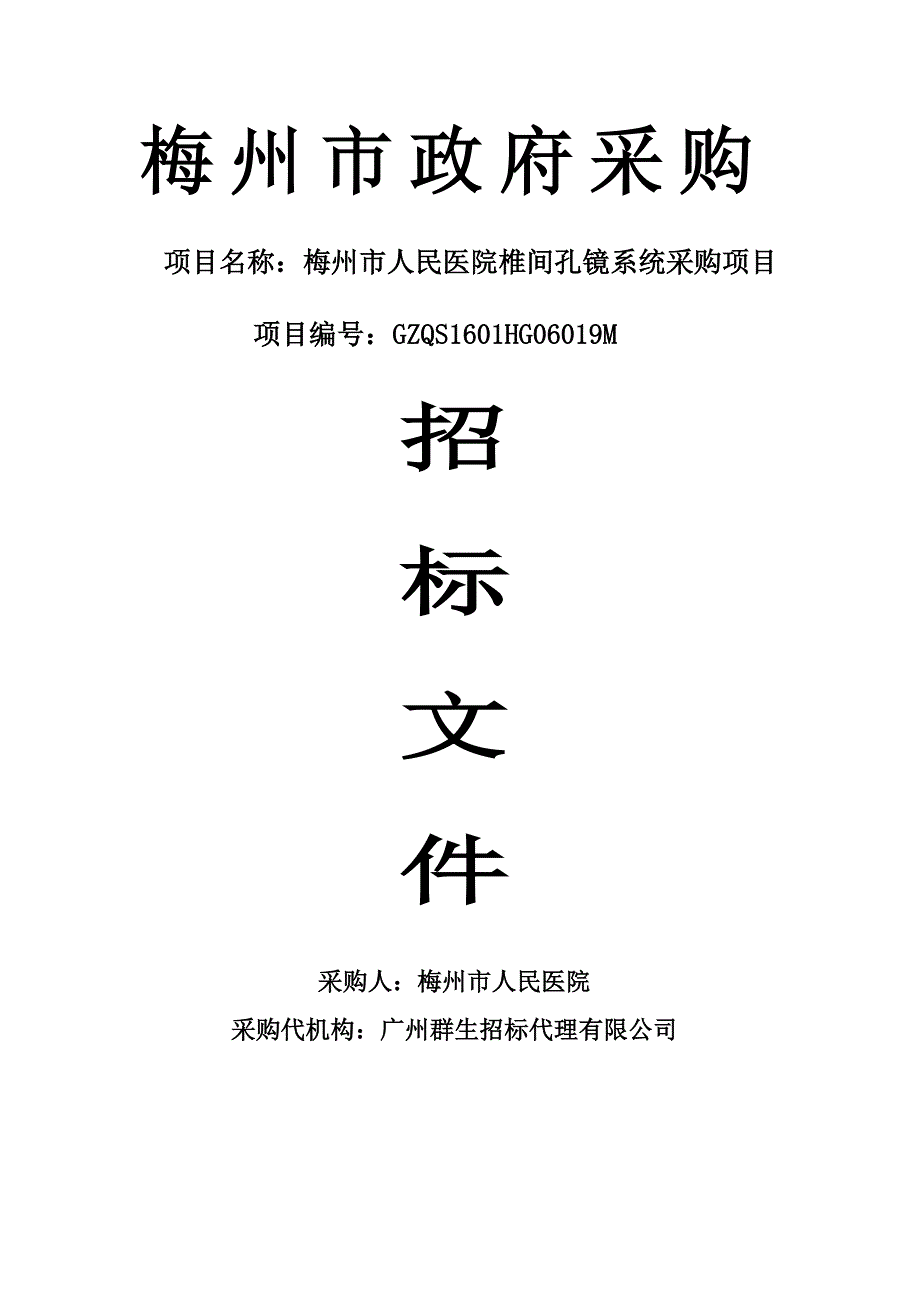 梅州市人民医院椎间孔镜系统采购项目招标文件_第1页