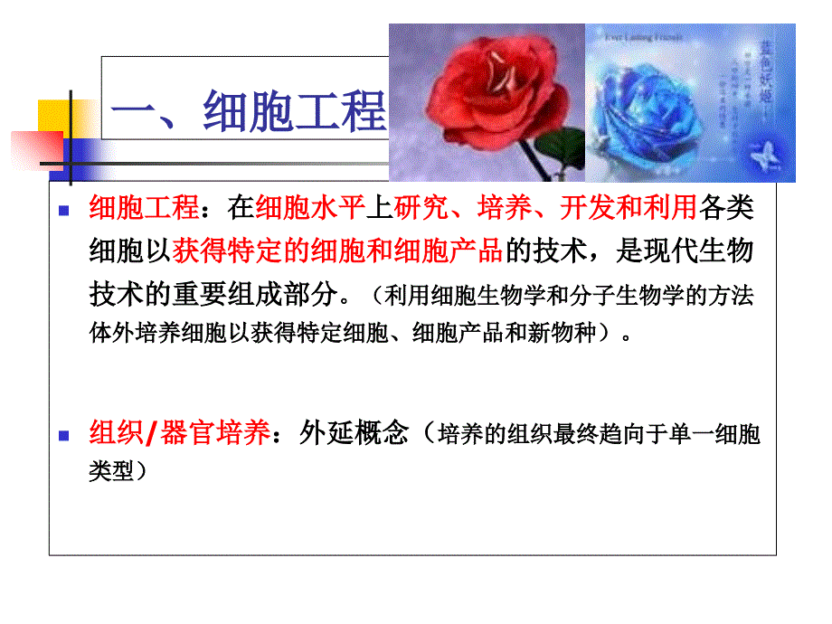 细 胞 工 程电子教案_第3页