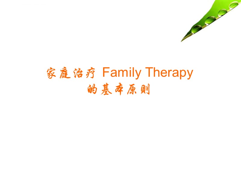 北京师范大学家庭治疗基本基本原则课件_第1页