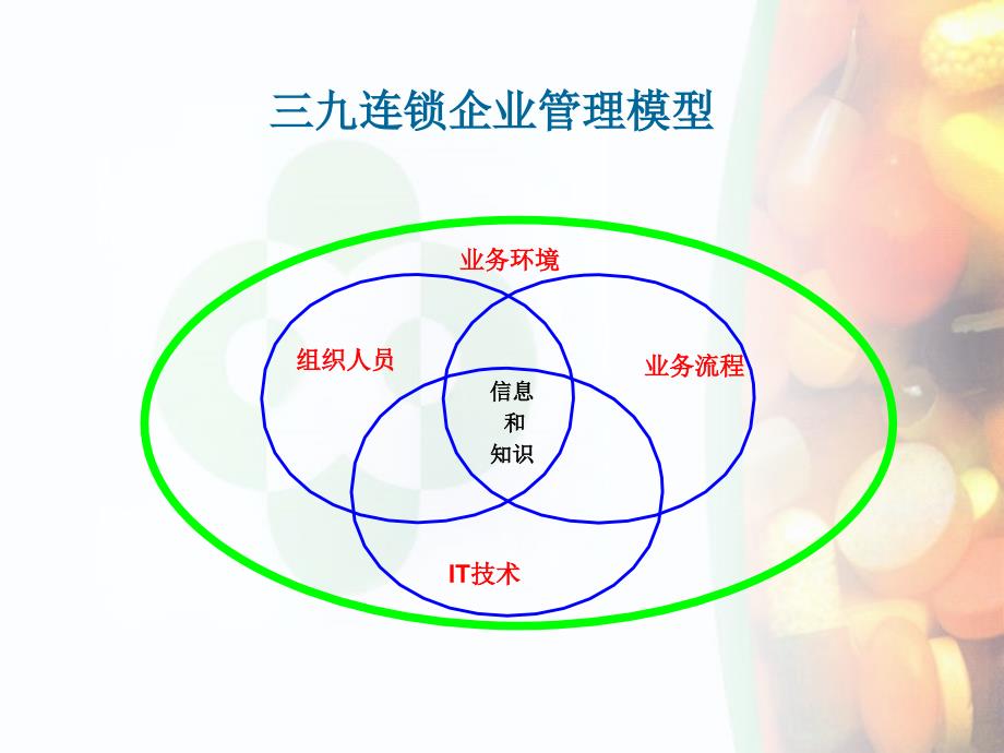 {连锁经营管理}三九集团连锁体系设计建议书_第4页