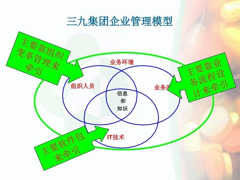 {连锁经营管理}三九集团连锁体系设计建议书_第5页