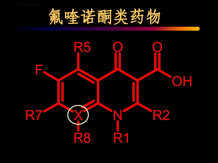 喹诺酮类药物药理与安全性肖永红课件_第3页