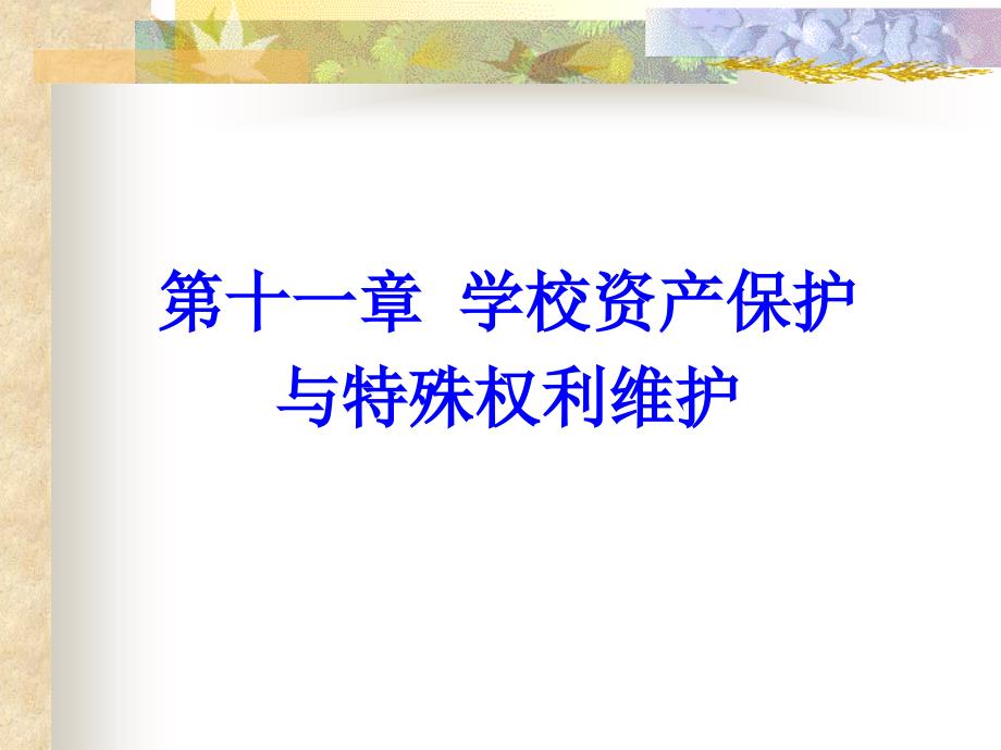 {财务资产管理}学校资产保护与特殊权利维护_第1页