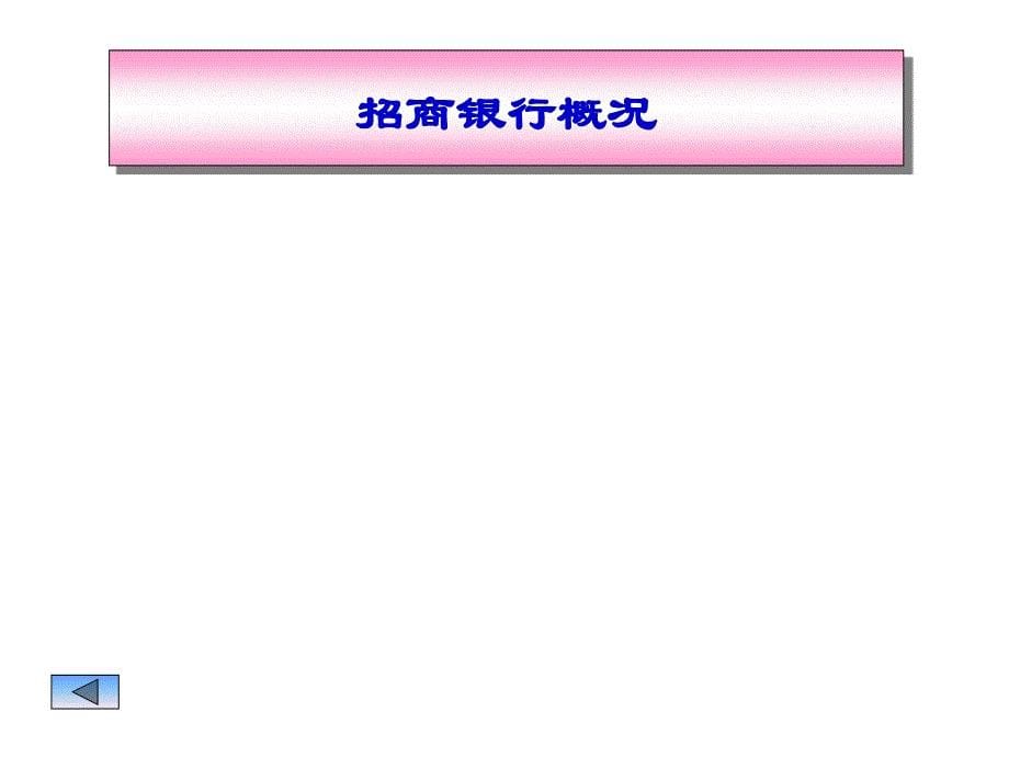 {财务管理财务报表}建行和招行的财务报表分析比较_第5页