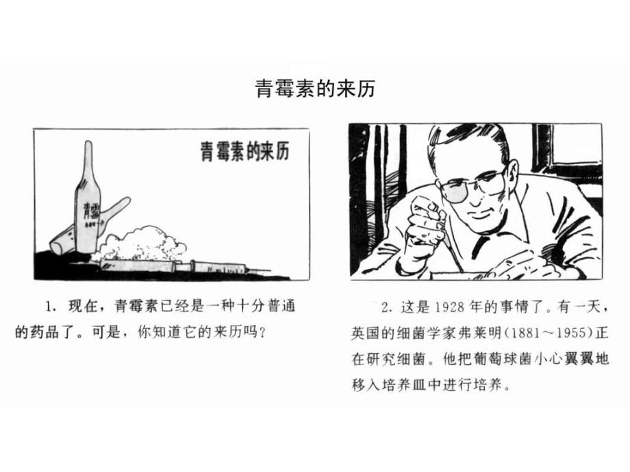 鄂教版科学九下《青霉素及其他抗生素》ppt相关课件_第3页