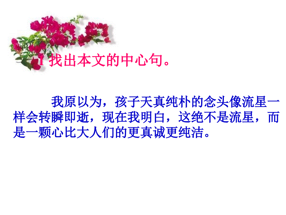 浙教版语文七下《这不是一颗流星》ppt课件1_第3页