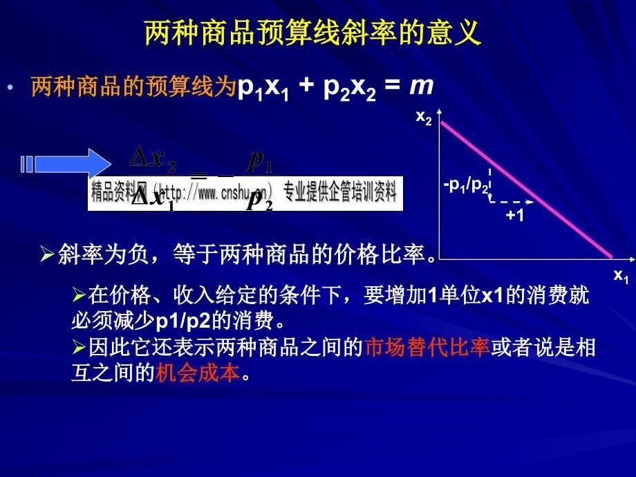 {财务管理预算编制}预算线的变动计价物与形状_第5页