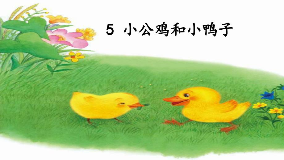 《小公鸡和小鸭子》课件小学一年级下册._第1页