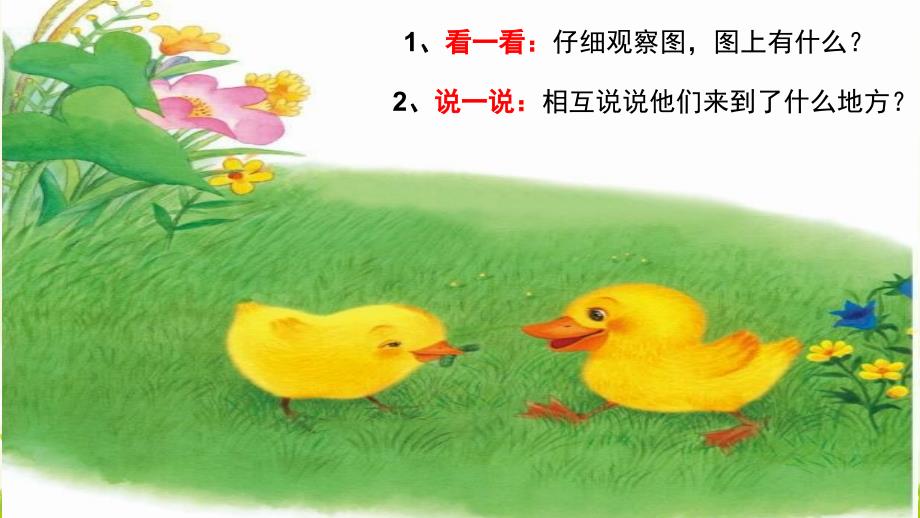 《小公鸡和小鸭子》课件小学一年级下册._第3页