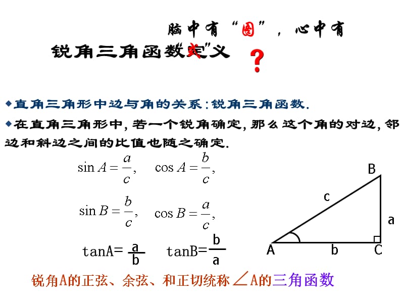 浙教版数学九年级下册1.1《锐角三角函数》ppt课件6_第2页