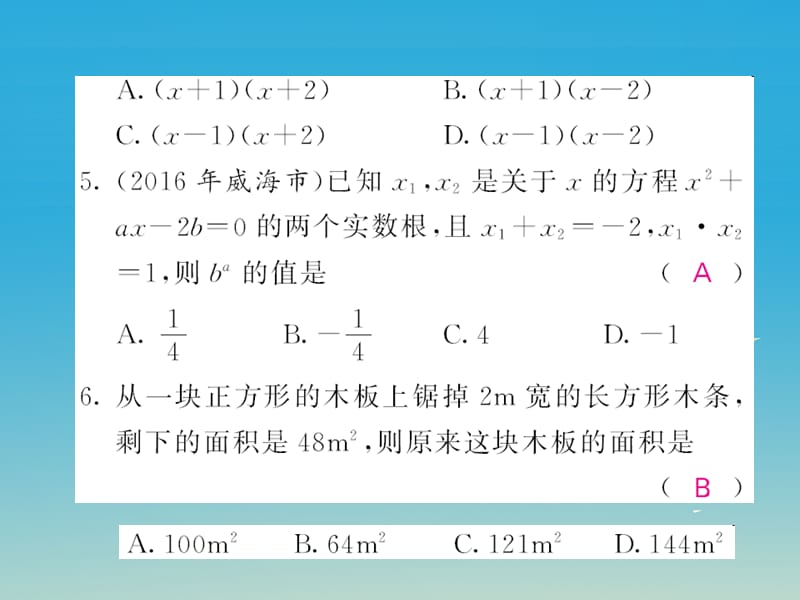 九年级数学下册专项训练（二）一元二次方程课件（新版）湘教版_第3页