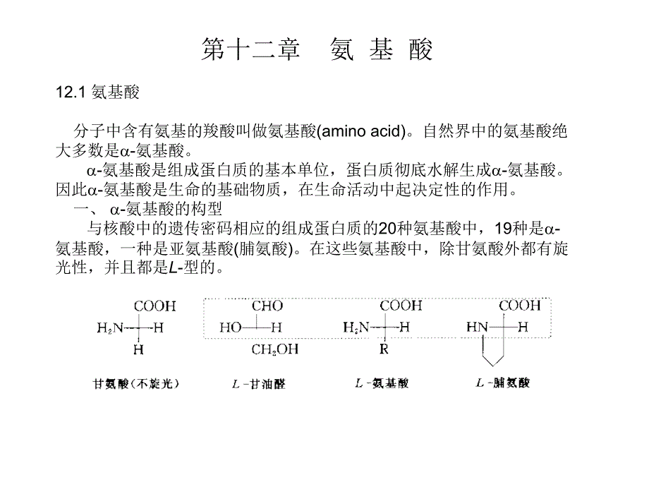 华中科技大学有机化学第十三章氨基酸课件_第1页