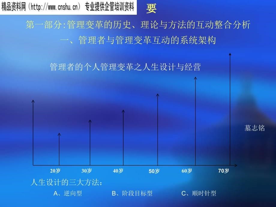 {管理运营知识}企业管理变革实践与理论的整合视角_第5页