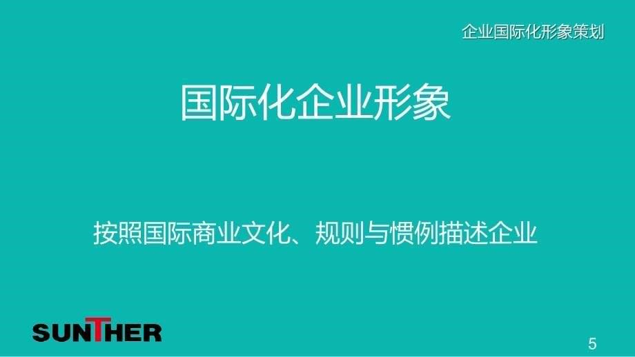 {企业形象}某公司企业国际化形象策划研讨_第5页